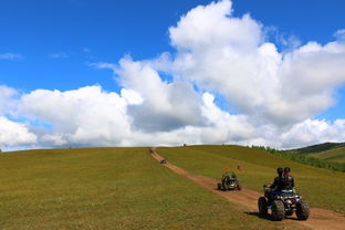 呼倫貝爾旅游攻略醉美 經典呼倫貝爾旅游攻略 自由行旅游包車游記 旅游自由行包車