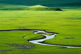 體驗大草原自然風情呼倫貝爾推出十大旅游線路
