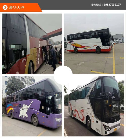 包車 晨風(fēng)包車車況好 包車費(fèi)用