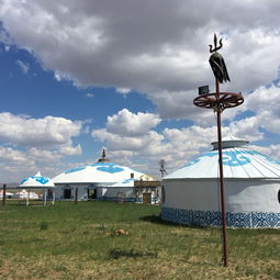 呼倫貝爾旅游攻略 呼倫貝爾八字形大草原包車自由行游記