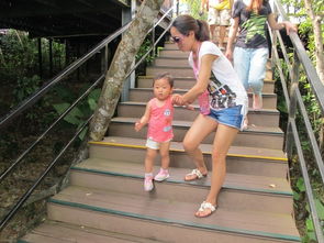 三亞五天包車自助游