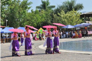 最美西雙版納深度自由行攻略 完整版 , 西雙版納自助游包車攻略