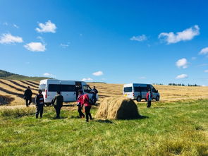 呼倫貝爾旅游攻略之 包車自由行游記美圖