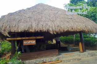 全是干貨 斯里蘭卡包車雙人十天自助游記 英文