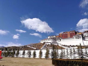 一個(gè)人的春節(jié)年假包車游珠峰 40冰川