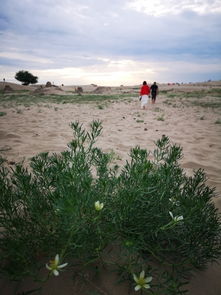 夢幻伊犁 風情南疆15天疆包車行全記錄 新疆包車旅行攻略篇,烏魯木齊自助游攻略