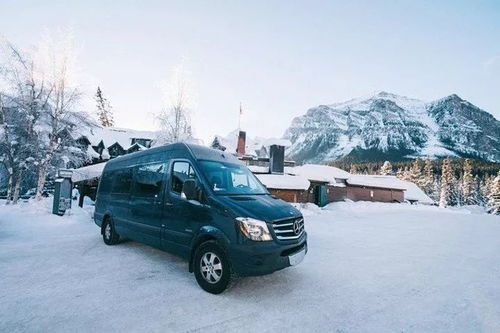 加拿大包車 租車自由行,隱患知多少