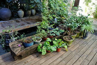 大理環洱海 龍龕 喜洲 雙廊 騎行 包車4天自助游