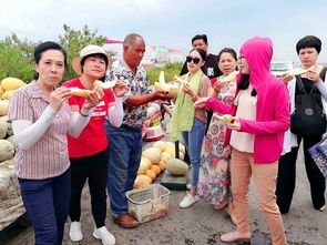 新疆之美.無論以何種方式呈現.都從未讓人失望,新疆自助游攻略,新疆旅游攻略,烏魯木齊旅游攻略