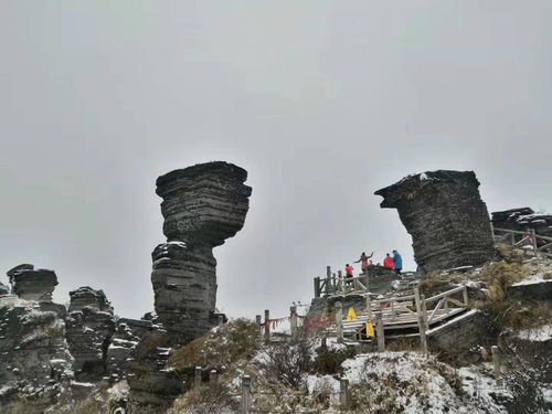 貴州包車自由行攻略