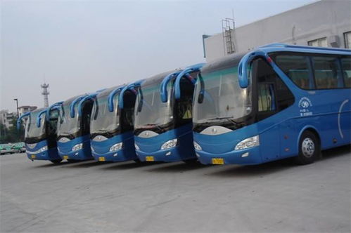 河南租車報價 廠家