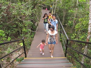 三亞五天包車自助游