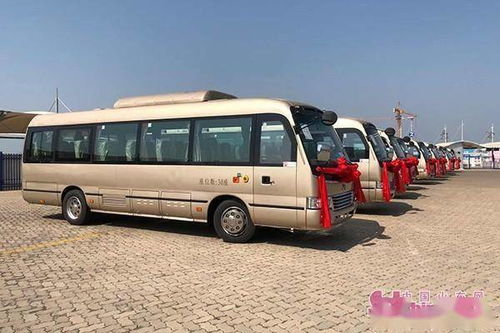 長島新增10輛縣內旅游包車 滿足游客個性化出行需求