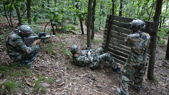 大連金石灘包車一日游 大連金石灘包車服務 自助游,多種車型任選