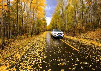 呼倫貝爾旅游包車自助游 王姐駕車陪您一起看草原