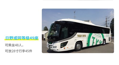 沖繩本島客制化包車服務 靈活行程、中文客服，安心暢游無憂