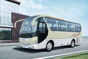 公司旅游與自助游的理想選擇 專業包車服務詳解